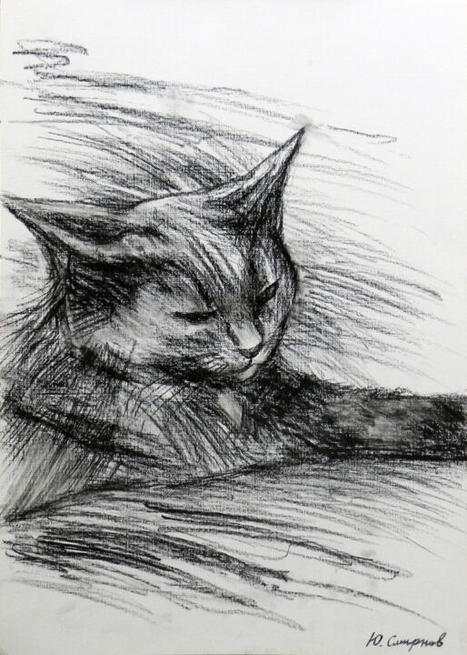 Drawing titled "Cat №2" by Yury Smirnov, Original Artwork, Charcoal