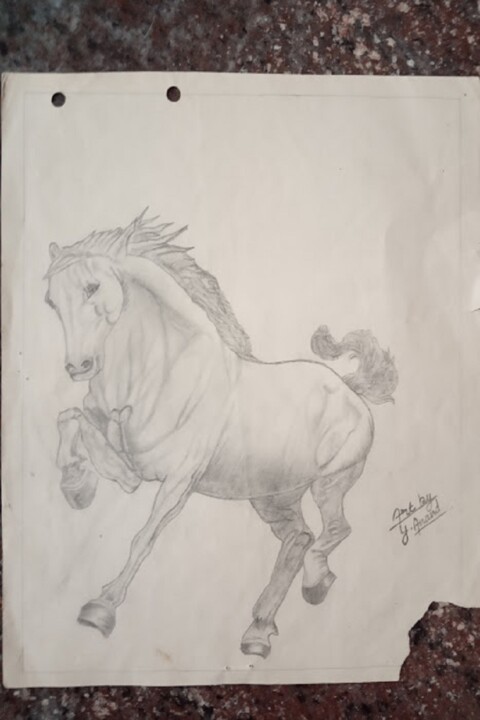 Drawing titled "Horse in Pencil art" by Yuvaraj Dhuraisamy, Original Artwork, Pencil