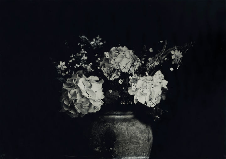 Photography titled "Hortensias" by Yvan Helliot, Original Artwork, Analog photography