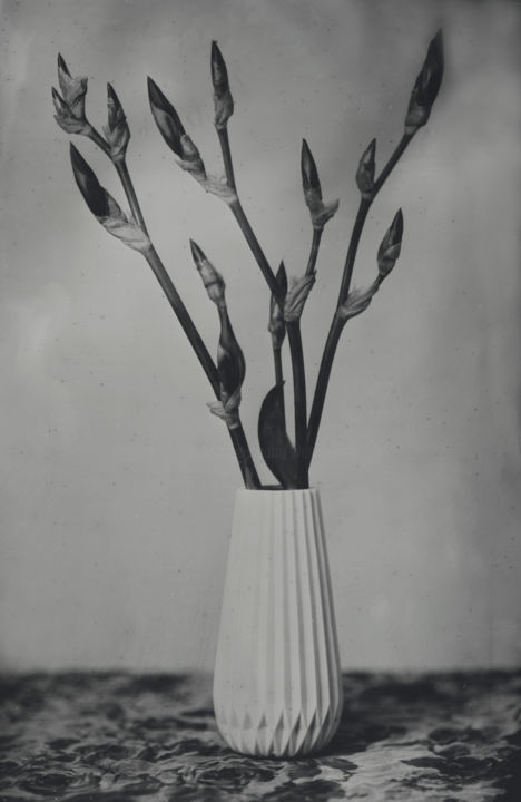 Фотография под названием "Iris" - Yvan Helliot, Подлинное произведение искусства, Пленочная фотография