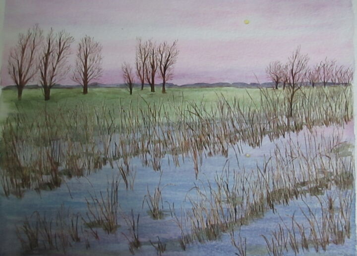 Peinture intitulée "Les prairies inondé…" par Yveline Corbard, Œuvre d'art originale, Aquarelle