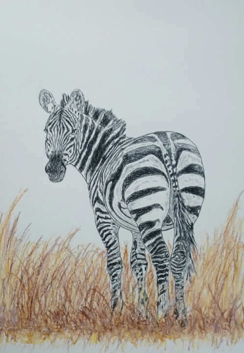 Drawing titled "ZEBRE" by Yves Briais, Original Artwork, Graphite