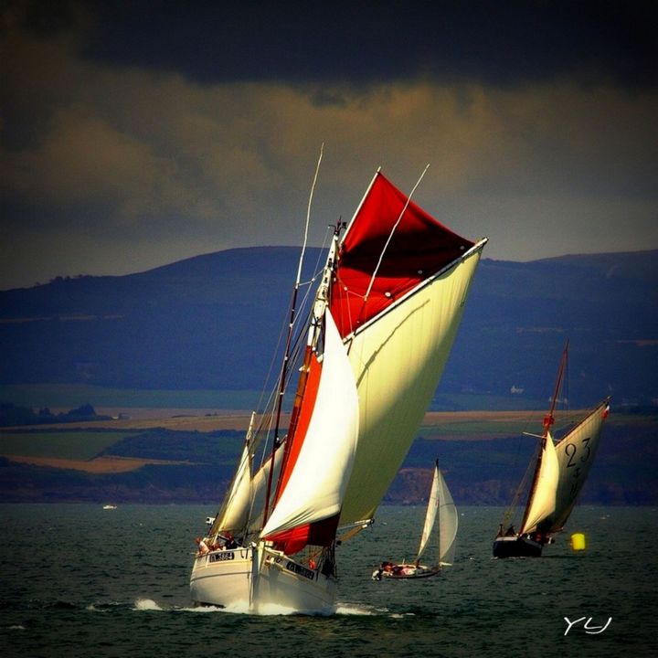 Photography titled "Le Biche en Baie de…" by Yves Le Jeune, Original Artwork