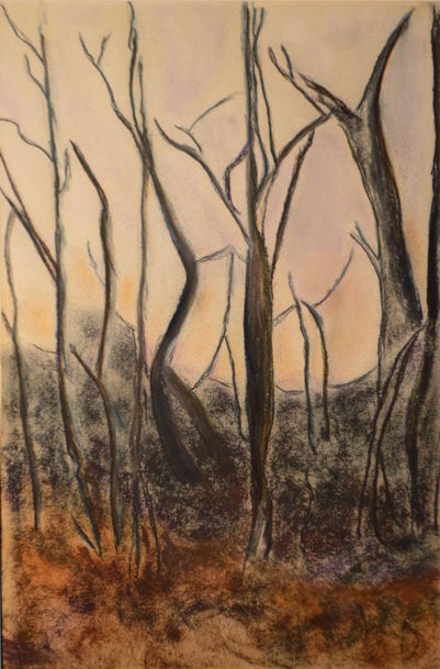 Painting titled "Forêt interdite" by Yves-Gabriel Willaert, Original Artwork, Pastel