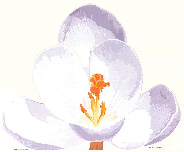 Peinture intitulée "CROCUS" par Yves Varlet, Œuvre d'art originale, Gouache