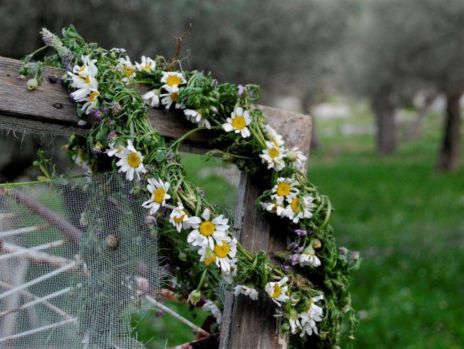 "_DSC0236.jpg" başlıklı Fotoğraf Tatiana Glinsky tarafından, Orijinal sanat