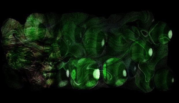 Digital Arts titled "Burnt Face" by Zamir Anjum, Original Art,
