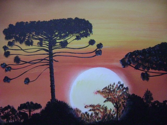 Painting titled "Araucárias ao por d…" by José Luís Francisco Zé, Original Artwork, Oil