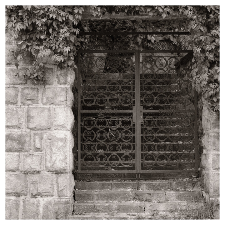 Fotografia zatytułowany „Forged Gate” autorstwa Zheka Khalétsky, Oryginalna praca, Fotografia nie manipulowana