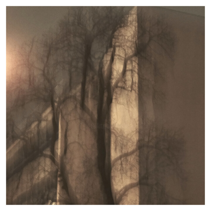 Photography titled "Tree VII (Dream of…" by Zheka Khalétsky, Original Artwork, Non Manipulated Photography