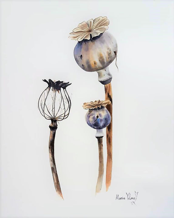 Peinture intitulée "Poppy Maracas" par Maria Yılmaz, Œuvre d'art originale, Aquarelle