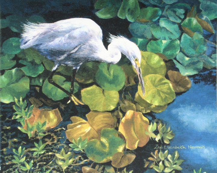 Peinture intitulée "Snowy Egret" par Zoe Norman, Œuvre d'art originale, Huile