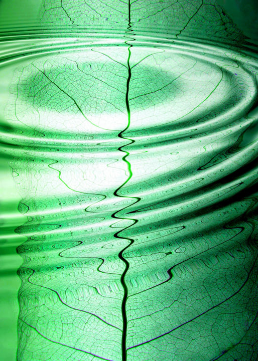 Photography titled "Green Dimention" by Olga Osi, Original Artwork