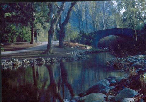 Photographie intitulée "Stanley Park" par Zoltan Buday, Œuvre d'art originale