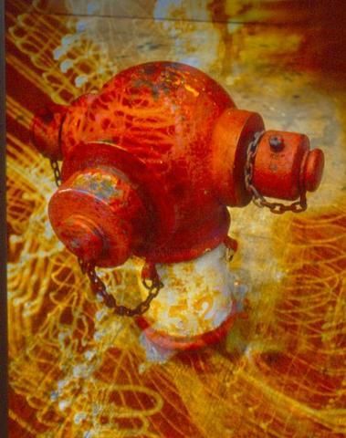 Photography titled "Electric Fire Hydra…" by Zoltan Buday, Original Artwork, Other