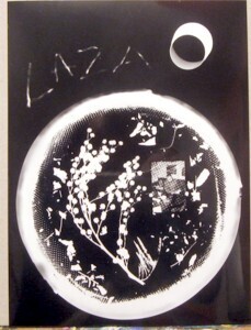 Fotografie mit dem Titel "laza.JPG" von Zoran Komatinović, Original-Kunstwerk