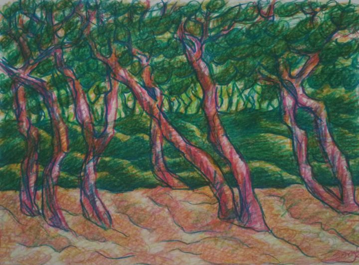 Drawing titled "Árvores tortas" by Zory, Original Artwork, Pencil
