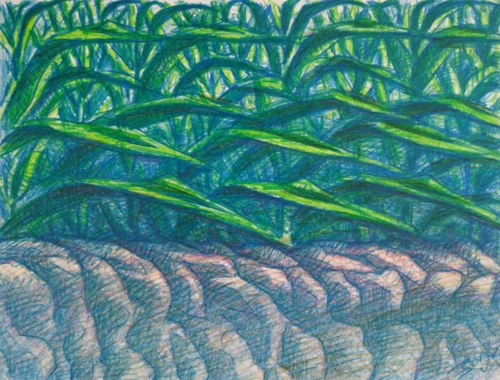 Drawing titled "Corn crops symphony" by Zory, Original Artwork, Pencil