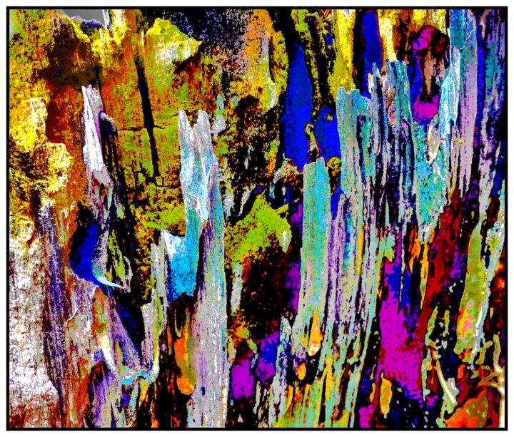 Photography titled "dsc1987-1.jpg" by zuber, Original Art, Manipulated Photography