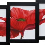 Painting titled "Coquelicot où la Dé…" by Isabelle Nicolazzo - Zazou, Original Artwork