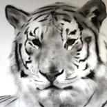 Dessin intitulée "tigre" par Aymeric Bordone, Œuvre d'art originale, Crayon