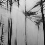 Dessin intitulée "Les pins des Landes." par B. Alexis, Œuvre d'art originale, Aquarelle