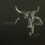 Drawing titled "Taurus" by Barbara Labutis, Original Artwork, Charcoal