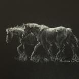 Drawing titled "horses" by Barbara Labutis, Original Artwork, Charcoal