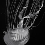 Photography titled "Jellyfish" by Bojan Jevtic, Original Artwork, Digital Photography