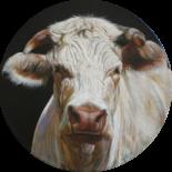 Painting titled "24014-VACHE CHAROLA…" by Capton, Original Artwork, Oil Mounted on Wood Stretcher frame
