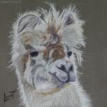 Painting titled "Le lama" by Catherine Costet (Lccat), Original Artwork, Pastel
