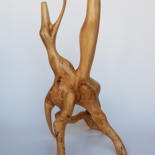Sculpture titled "Le liens sous-jacent" by Cécile Devezeaux De Lavergne, Original Artwork, Wood