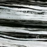 Peinture intitulée "Black and White" par Catherine Le Roux, Œuvre d'art originale, Acrylique