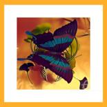 Digital Arts titled "Papilio Buddha" by Corinne Sassi (Cjr sassi), Original Artwork, 2D Digital Work