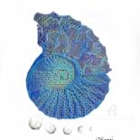 Digital Arts titled "Nautile bord decoupe" by Corinne Sassi (Cjr sassi), Original Artwork, 2D Digital Work