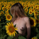 Photographie intitulée "Sunflowers" par Cyrille Mulot, Œuvre d'art originale, Photographie non manipulée