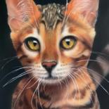 Animals: wild life, pets… by Dolgor Dugarova (Dolgor Art)