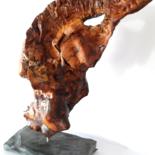 Sculpture titled "The wing" by Duilio, Original Artwork, Wood