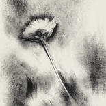 Drawing titled "DAISY" by Etienne Eczet, Original Artwork, Charcoal
