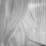 ARABESQUES VITRÉES - Photographies by Elisabeth Laplante