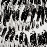 Photos encre de Chine by Elisabeth Laplante