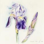 Painting titled "Bearded Iris" by Elizabeth Sadler, Original Artwork, Watercolor Mounted on Wood Panel