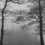 Photography titled "Fog in the Mountains" by Elke Matthaeus, Original Artwork