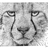 Desenho intitulada "Cheetah" por Elzem, Obras de arte originais, Tinta