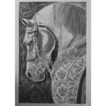 Dibujo titulada "A horse with Turkis…" por Elzem, Obra de arte original, Carbón