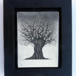 Printmaking titled "arbre 1 plâtre" by François Crinel, Original Artwork, Etching
