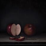 Malerei mit dem Titel "Apples" von Federico Rizzo, Original-Kunstwerk, Öl