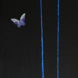 "Le Rêve du Papillon de Nuit" by Françoise Suzanne