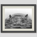 Drawing titled "hippo 3 - pencil -…" by Franzart, Original Artwork, Pencil