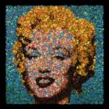 Arts numériques intitulée "Marilyn aux papillo…" par Frédéric Durieu & Nathalie Erin, Œuvre d'art originale, Travail numériq…